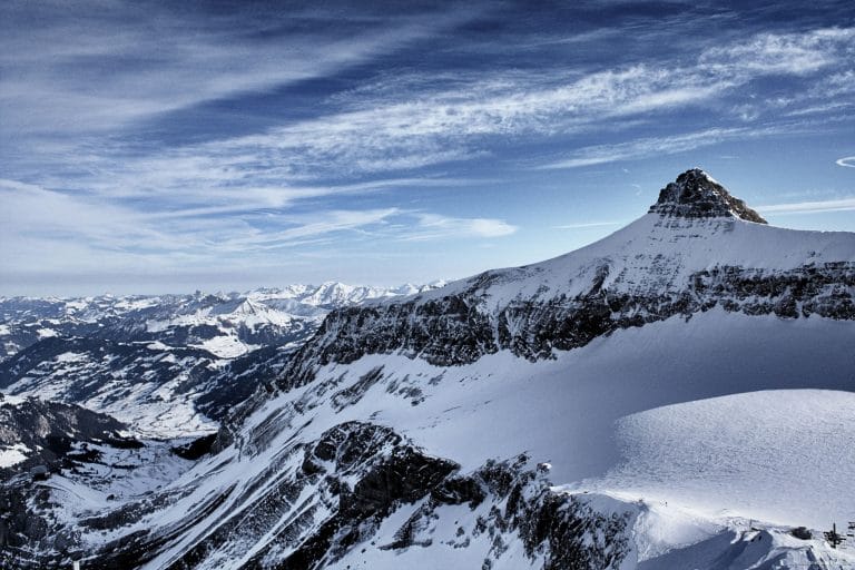 SWISCA-Vetrina-sito-web-5-1